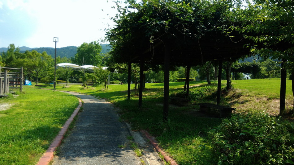福岡　大野城　憩いの森公園　自然