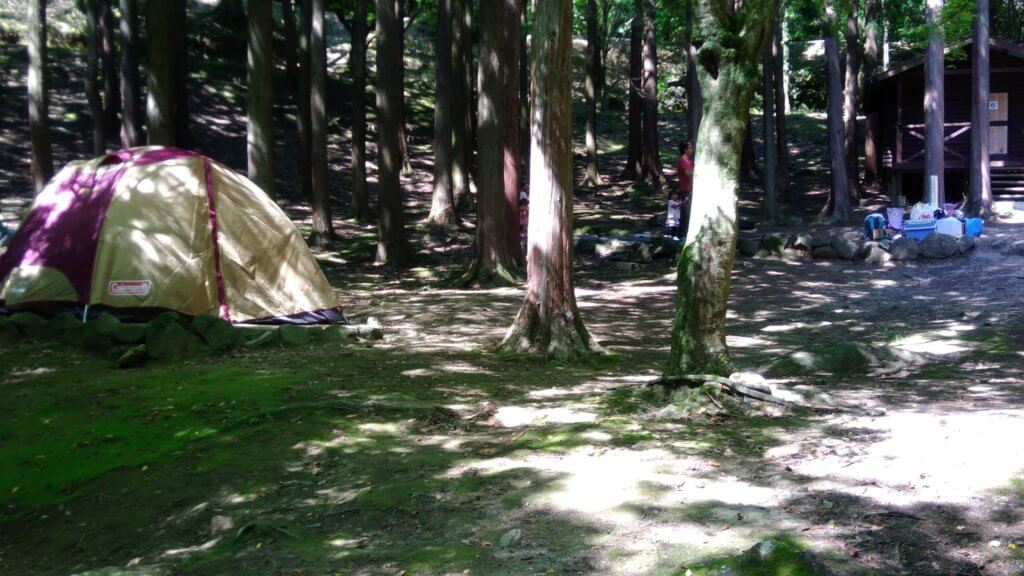 一本松キャンプ場　猿岩　おすすめ　小川　山