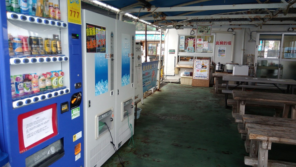 福岡市海釣り公園　自動販売機　タイ
