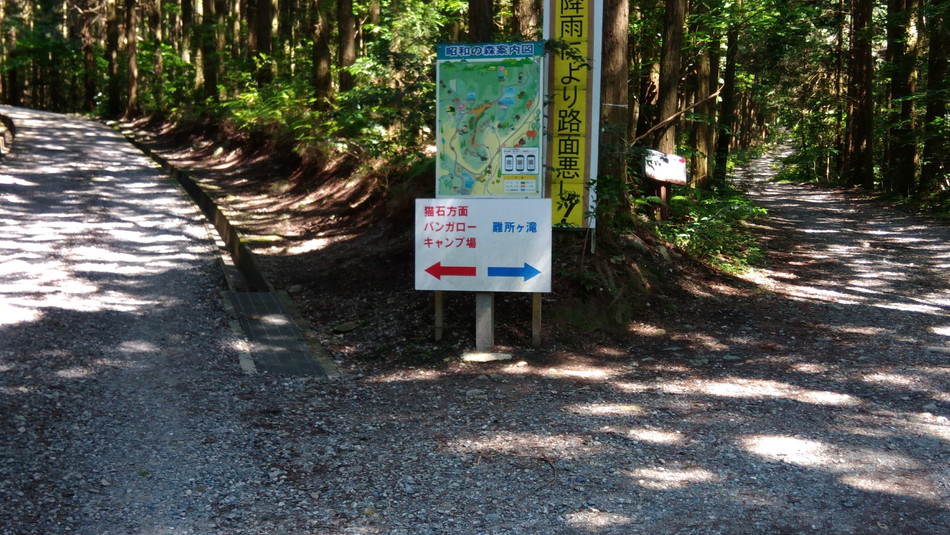 福岡　おすすめキャンプ場　昭和の森公園　一本松　滝