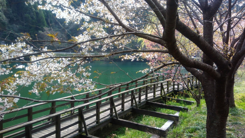 福岡 大人気のグリーンパル日向神峡 八女 はロケーションと管理が最高 九州 初心者でも気軽に家族で楽しめるキャンプ場を紹介するブログ
