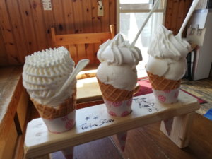 熊本の菊池の観光はソフトクリームのついんスター