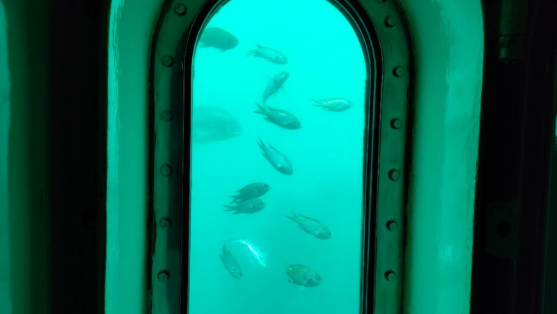 波戸岬海中展望塔の窓
